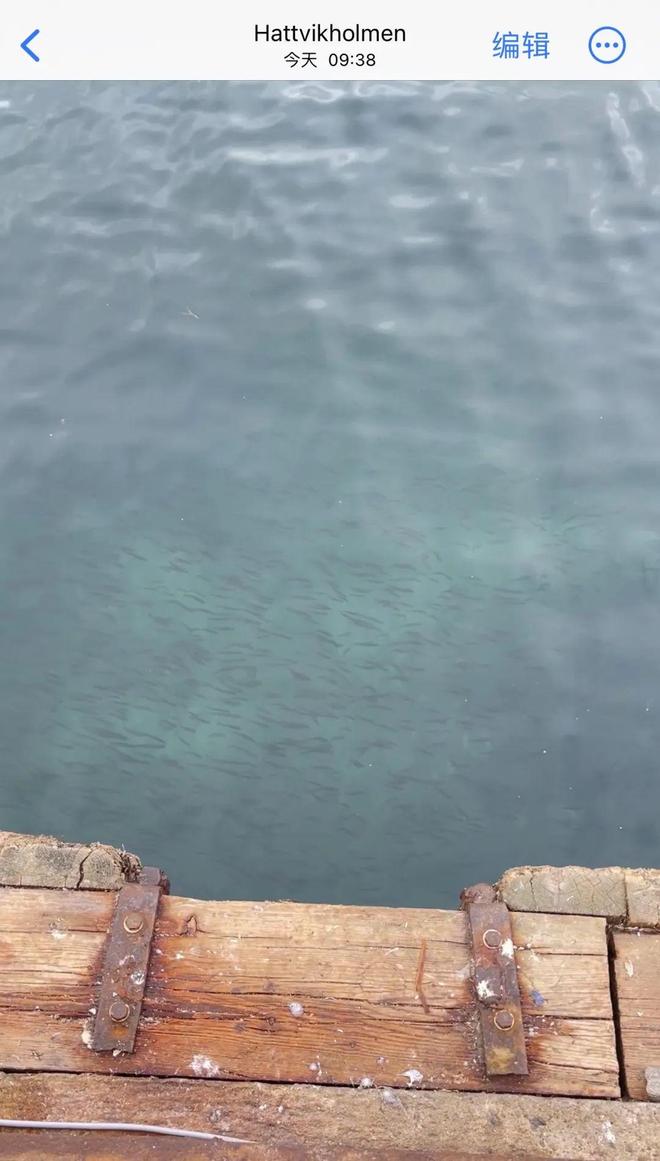 场的好物这次优惠不要错过CQ9电子推广你们催着返(图17)